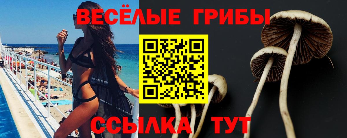 Канабис  Новоалександровск  APVP СК   Купить наркотики цена  Вход с VPN  Мефедрон кристаллы  ЭКСТАЗИ  COCAIN  Гашиш  ГАШ 